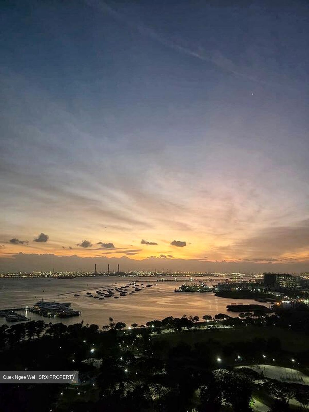 The Vision (D5), Condominium #581248781